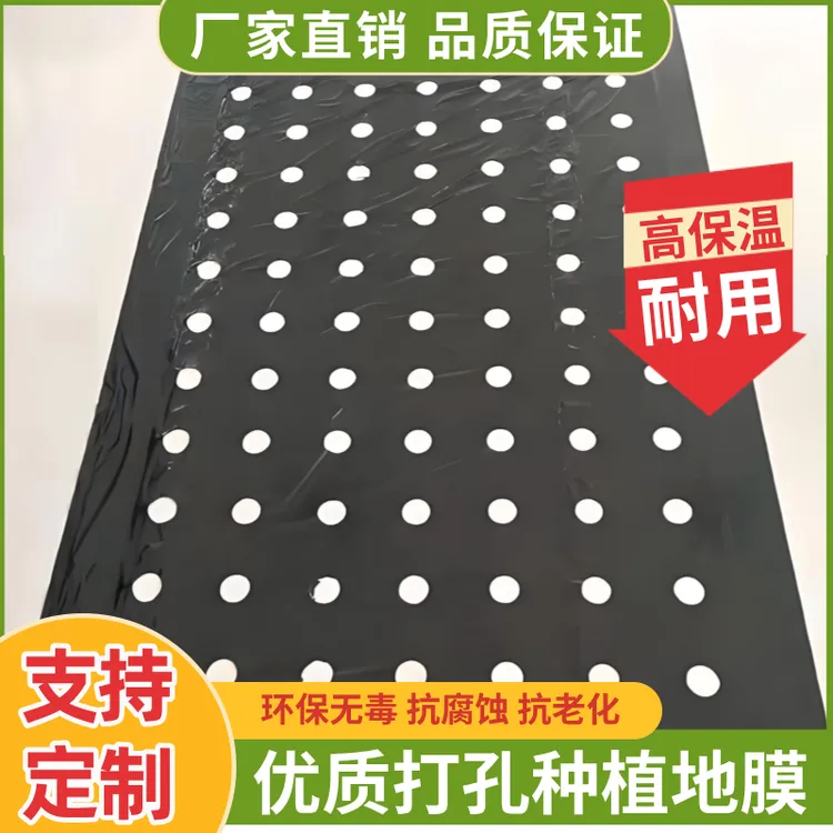打孔黑地膜农用种植除草保温免打孔地膜种菜小葱药材地膜农用薄膜