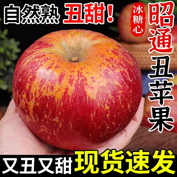 【卡妈专属】云南昭通丑苹果红富士现摘现发新鲜冰糖心脆甜多汁当季