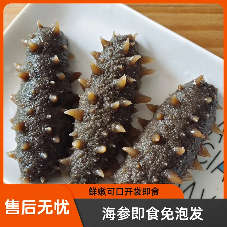 （1斤6-8头左右）即食海参海鲜新鲜鲜食海参深海免泡发开袋即食冷冻