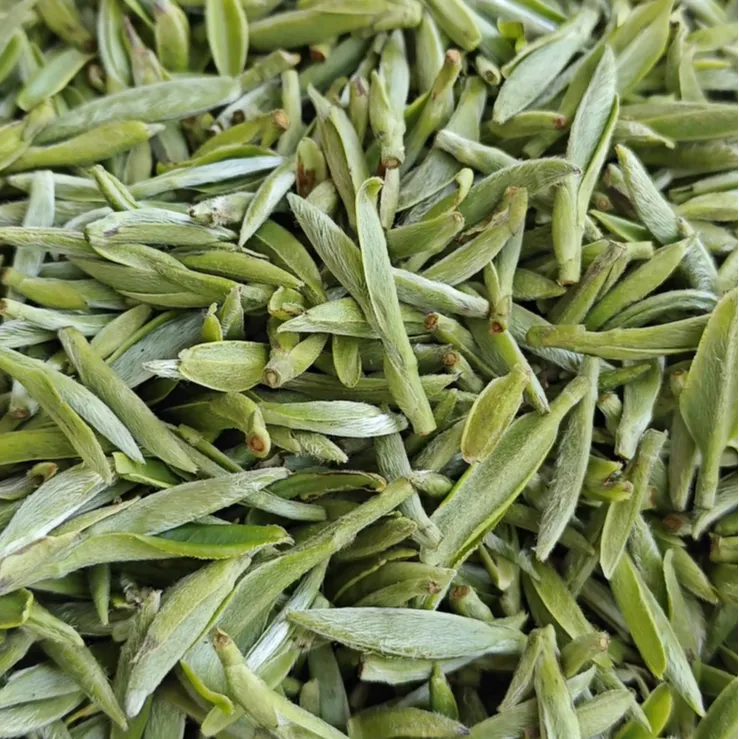 2025年头采白毫银针|短针|10克|福鼎白茶毫香花香试品装