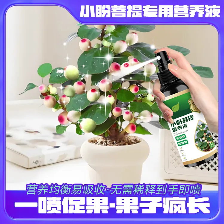 小盼菩提树营养液四季植物肥防黄叶枯萎促开花结果家用室内液体肥商品图