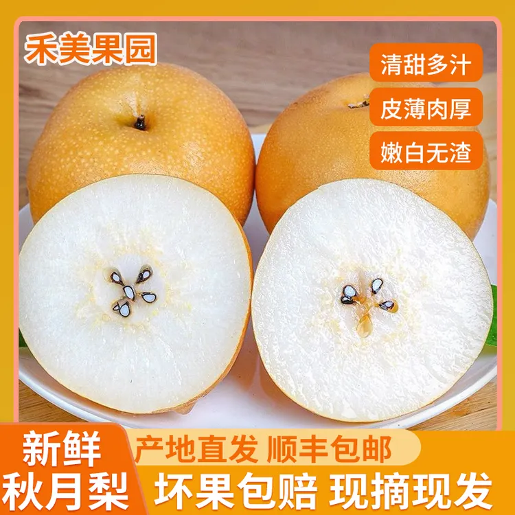 正宗秋月梨新鲜当季水果脆甜多汁细腻无渣