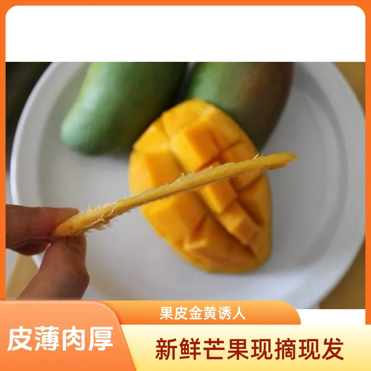 攀枝花青甜芒果小金煌芒果新鲜采摘