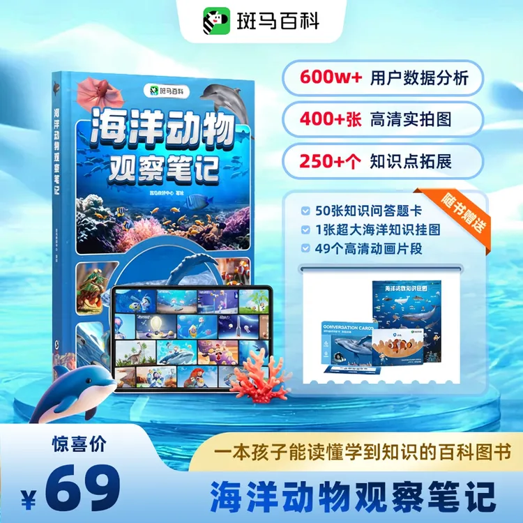 【斑马百科】海洋观察笔记套装 少儿百科全书 海洋动物知识百科