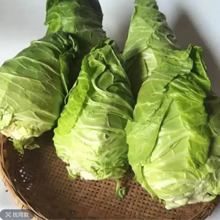 正宗露天贵州开阳老岩寨生态牛心菜直发生鲜食品蔬菜当季农家菜