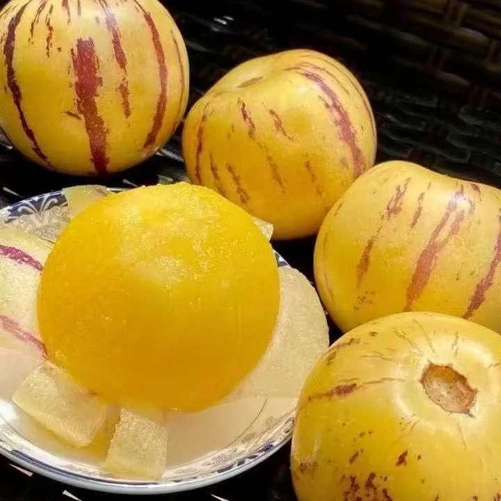 「香菜果园」树熟攀枝花精品人参果产地直发香甜爆汁