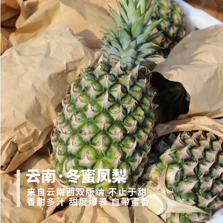 冬蜜/甜蜜蜜凤梨 云南西双版纳的 甜度爆表 蜜香的多汁 化渣一般