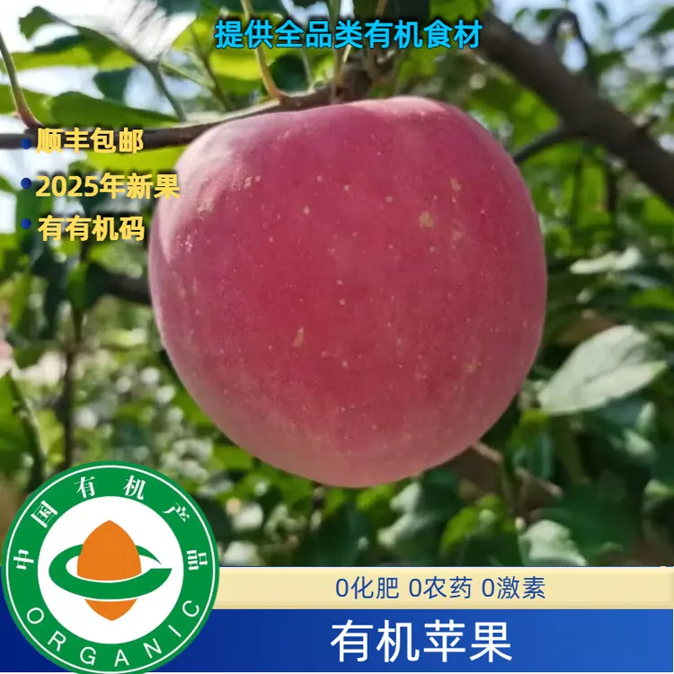 有机苹果不打腊无农残基地直发新鲜好吃有机红富士苹果