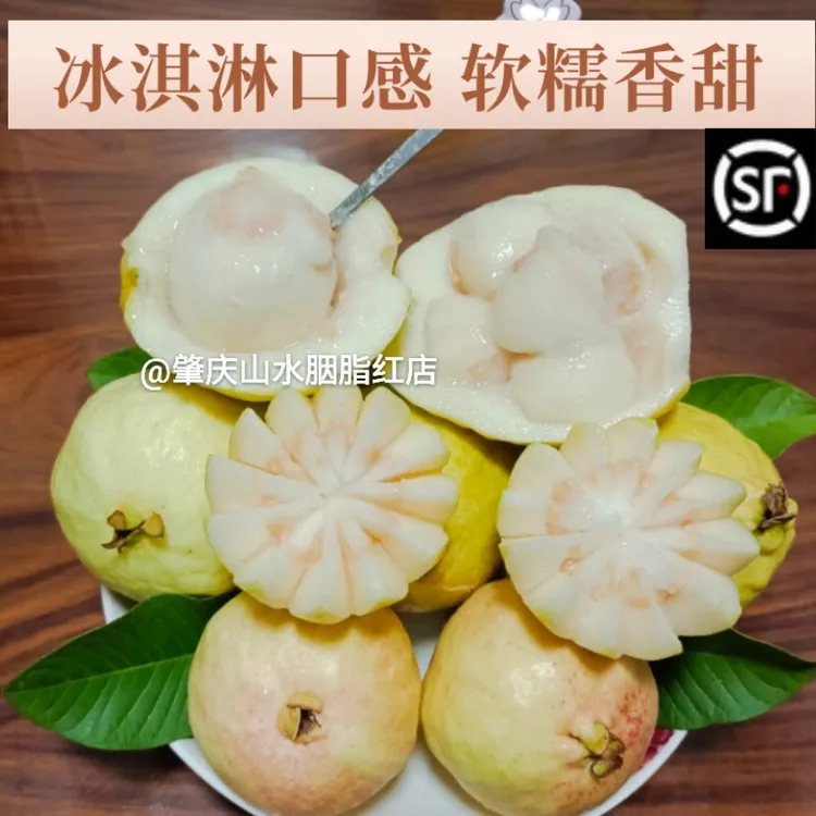 肇庆三娘坑山水番石榴胭脂红白心鸡屎果老树果非珍珠芭乐