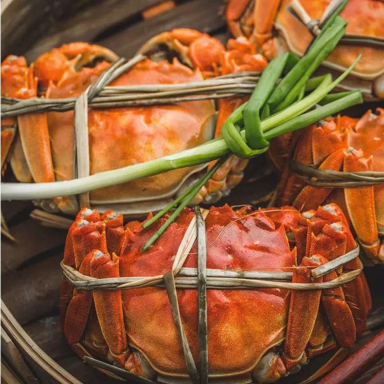 【活蟹】公母螃蟹江苏大闸蟹母蟹3两/只公蟹3两/只共10只装