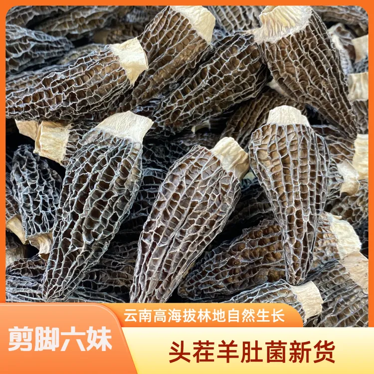 2025新货 云南高山羊肚菌头茬精品菌菇煲汤干货食材 肉厚饱满剪脚