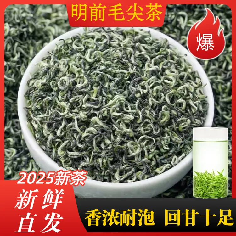 浓香型毛尖绿茶2025新茶正宗贵州高山云雾春茶嫩芽明前板栗香茶叶
