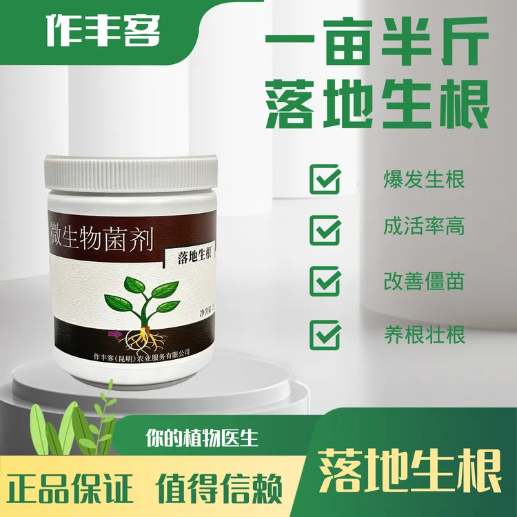 作丰客落地生根 粉植物通用扦插树木移栽生根剂生根壮苗水溶肥