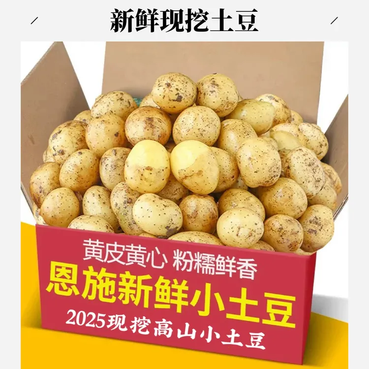 湖北恩施小土豆现挖农家新鲜黄心土豆5斤应季迷你马铃薯洋芋