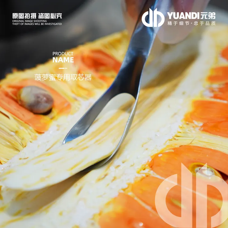 菠萝蜜专用取芯器  1把