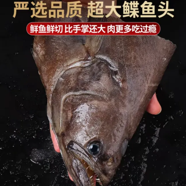 深海鲽鱼头格陵兰比目鱼肉质细嫩大号规格700g-1500g每只