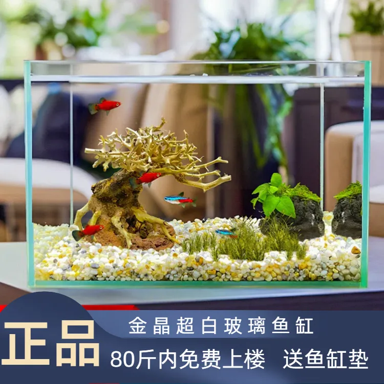 金晶五线超白玻璃鱼缸定制客厅大小型长方形家用水草龟缸生态溪流