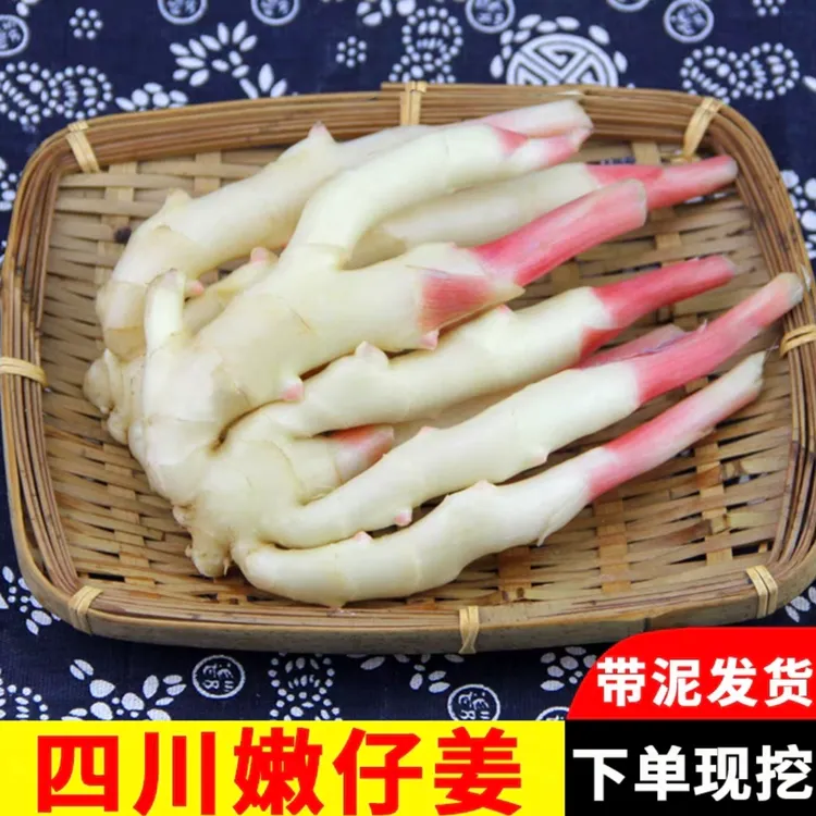 2025年现挖现发红芽姜嫩仔姜无丝仔姜生姜糖醋泡姜仔姜芽四川葱黄