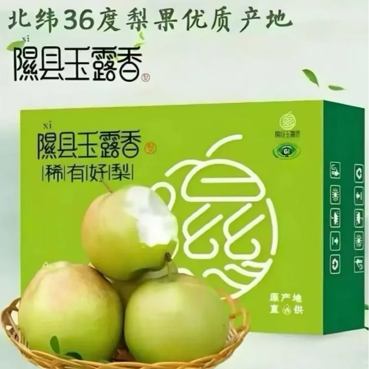 山西玉露香梨 挂在树上的果汁 皮薄酥脆 口口爆汁 坏果包赔