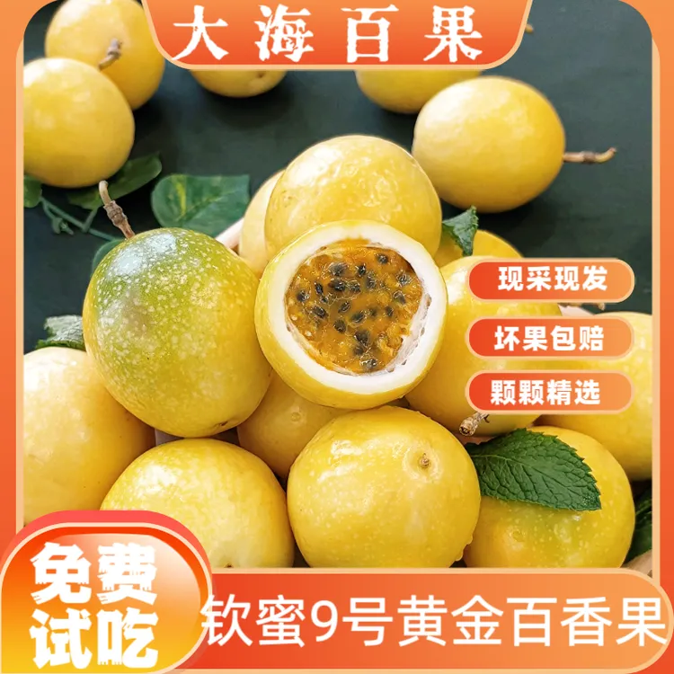 【直播间专属】广西直发钦蜜9号百香果中大特果六个装