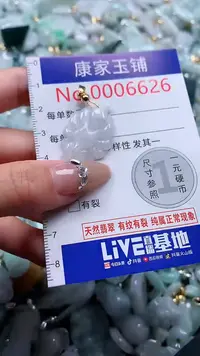 翡翠未镶嵌吊坠(不含链)6626