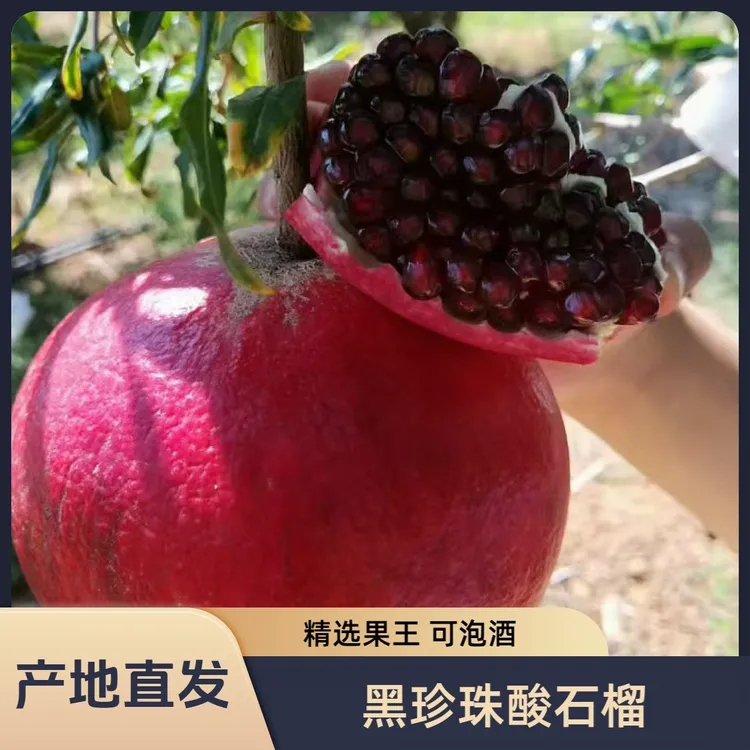 云南大理宾川2025年黑珍珠酸石榴产地直发当季水果泡酒孕妇食用