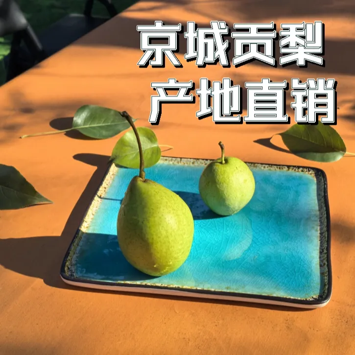 北京永定河畔京城皇家贡梨皮薄脆甜多汁产地直发包邮