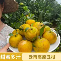 【产地直发】云南高原丑柑花皮果柑橘清甜多汁