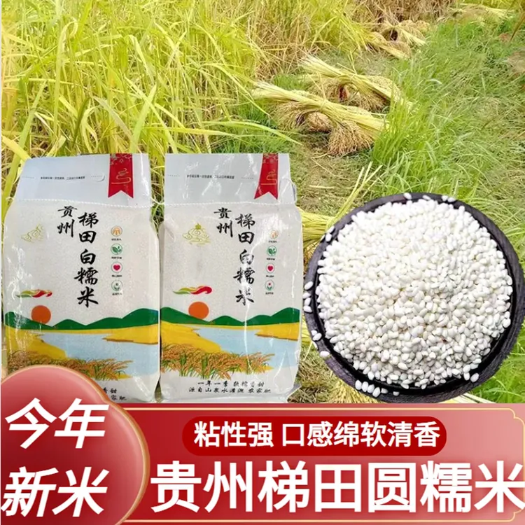 2025贵州梯田圆糯米糯米白糯一年一季农家糯米软糯香甜5斤10斤