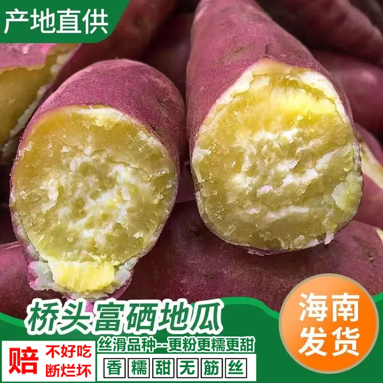 海南富硒地瓜沙地粉糯红薯沙地小香薯新鲜农家自种番薯黄心板栗薯