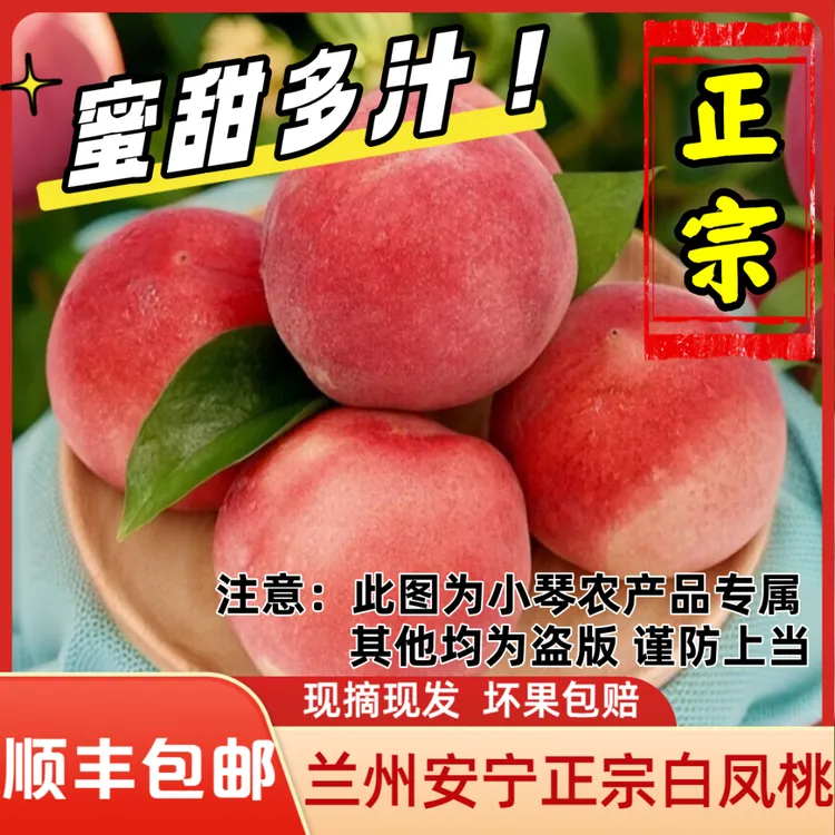 【省内专拍】兰州正宗安宁迟白凤桃迟白粉桃甘肃特产现摘水蜜桃顺丰