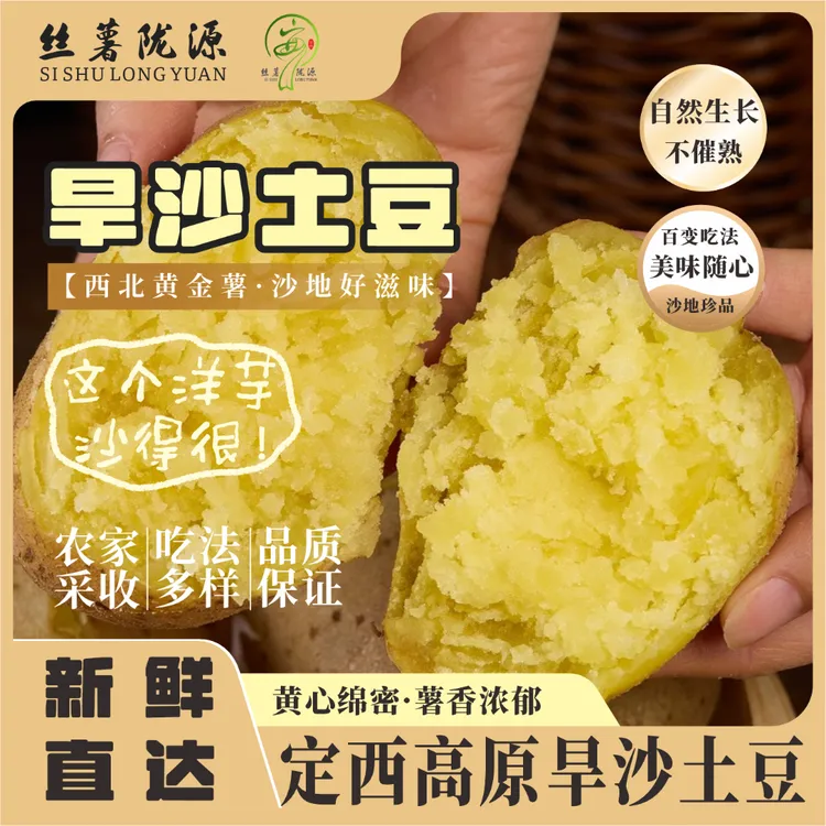 【买5斤送5斤试吃两个】甘肃定西沙地粉糯面沙黄心土豆产地现挖现发