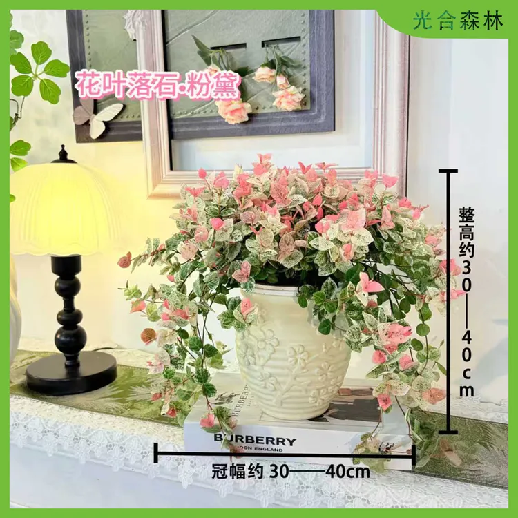 花叶络石花苗盆栽彩叶络石吊兰四季垂吊耐热耐寒植物庭院绿植花卉