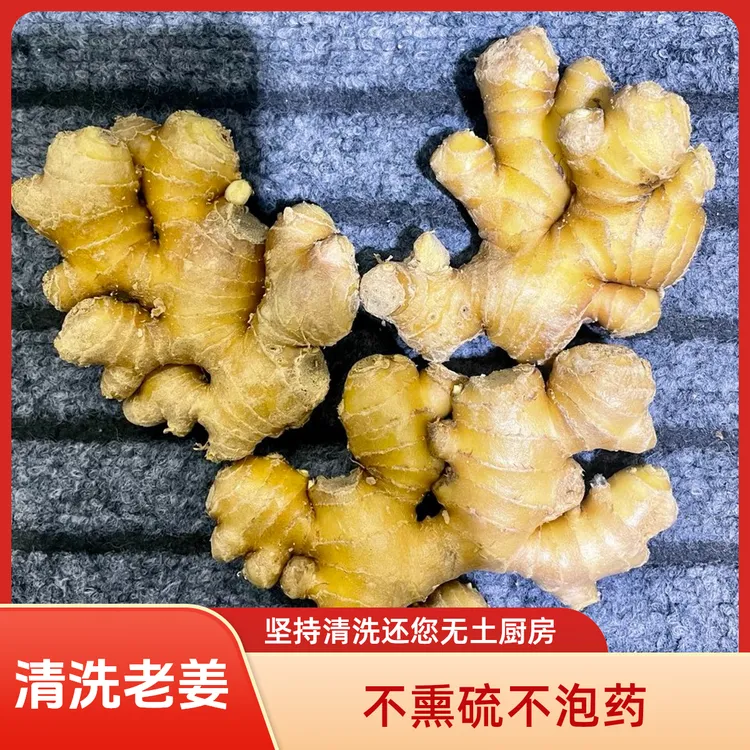 【精品水洗小黄姜】云南罗平山地高原小黄姜生姜人工分拣源头发货