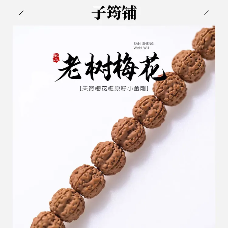 【老树梅花】梅花桩小金刚菩提子精品原皮手串单圈双龙纹手持文玩