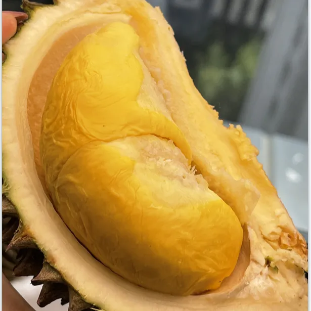 马来西亚液氮黑刺榴莲3.5斤起顺丰空运