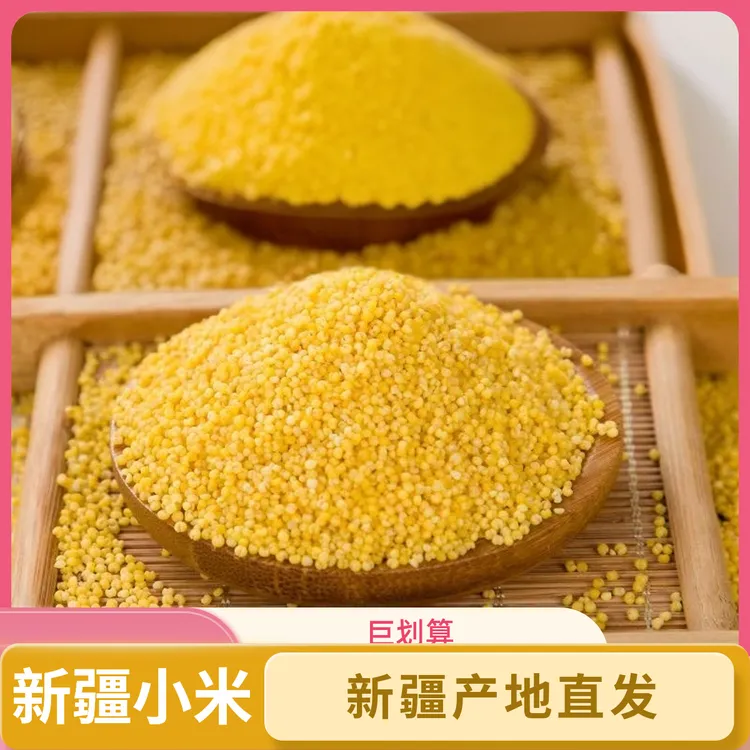 新疆现磨黄小米新米农家种植熬粥小黄米米油丰富优质五谷杂粮