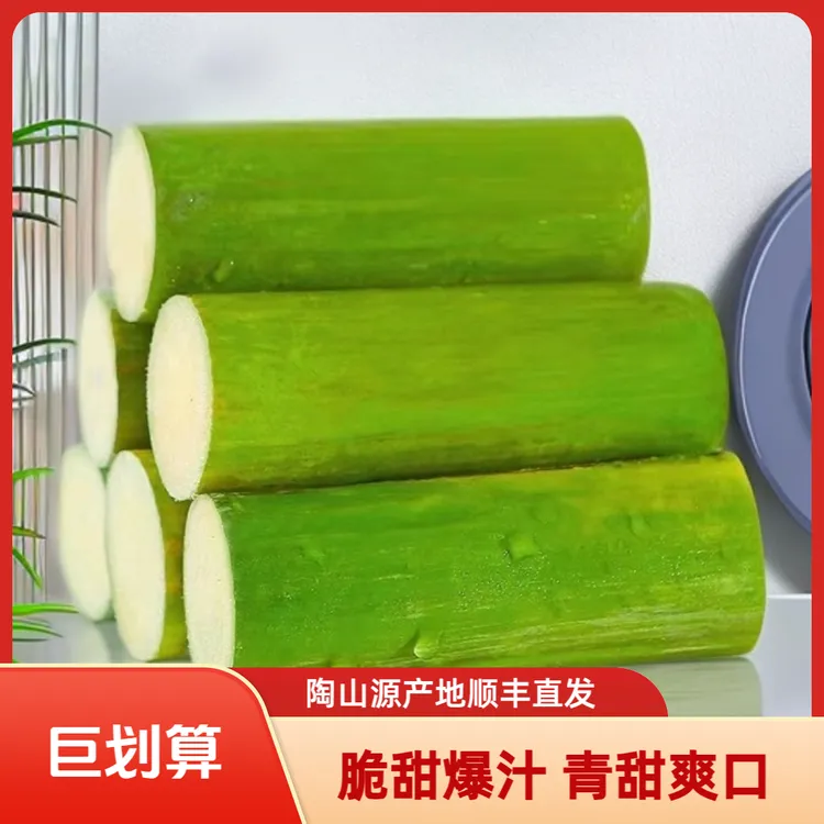 正宗陶山青皮甘蔗 去节纯果肉装 新鲜应季水果产地直发顺丰包邮