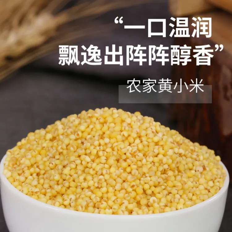 山东当季新鲜油糯黄小米新黄小米熬粥米油多五谷杂粮早餐佳品媳妇