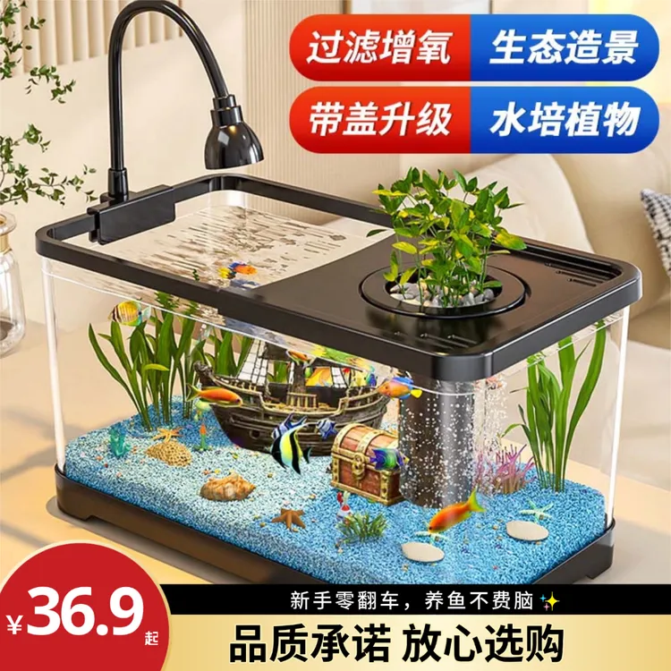阔庭鱼缸净水打氧过滤一体式鱼缸客厅家用水培静音爆款客厅小型商品图