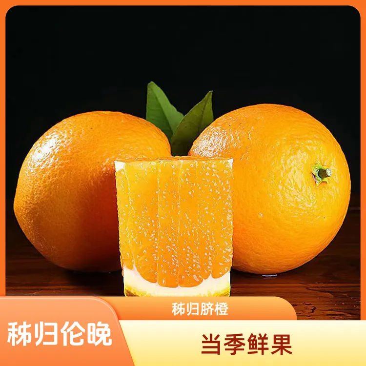 湖北秭归伦晚脐橙当季水果