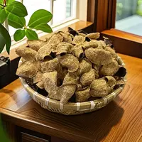 2019年天马原枝冬后大红皮（红皮王.树顶果）陈皮