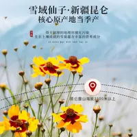 精选高海拔昆仑雪菊50g*2可搭配枸杞