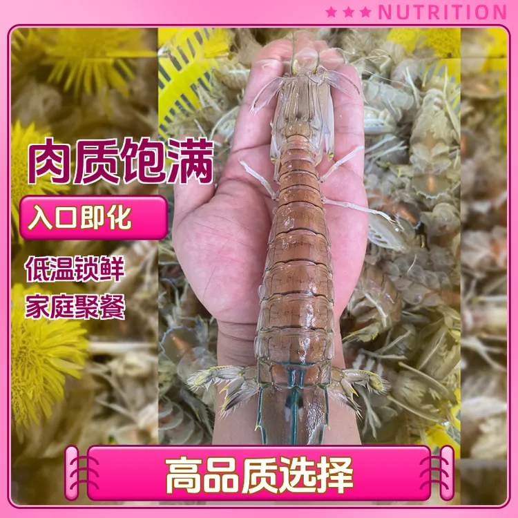【顺丰冷链】超大鲜活北部湾天然皮皮虾鲜活蒸煮冷链保鲜发货皮皮虾