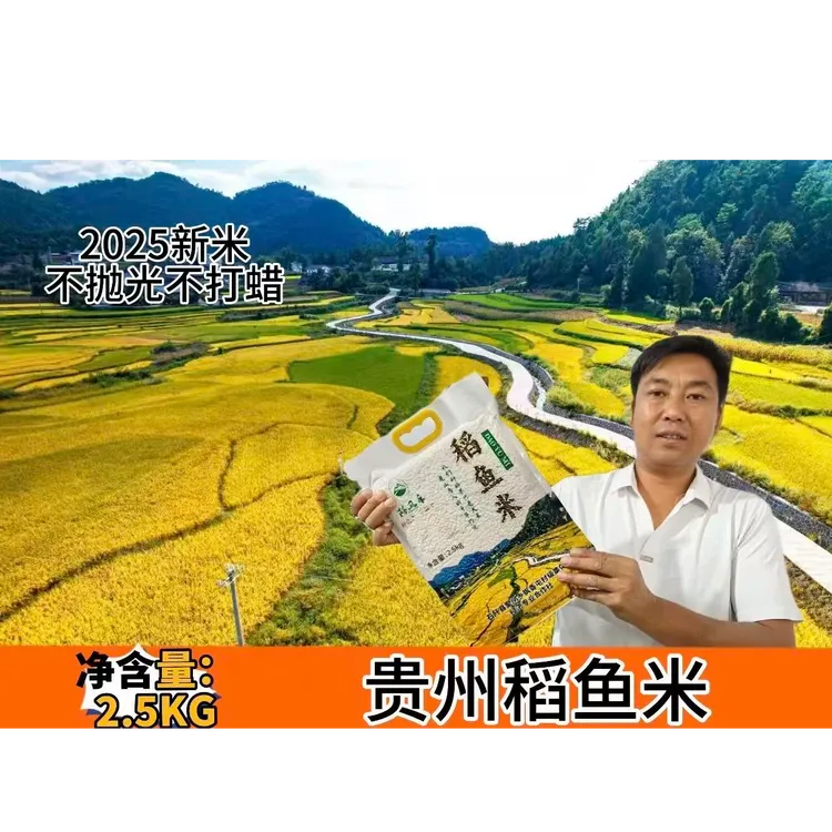 2025贵州大米，阡凤禾稻鱼共生大米，不抛光不打蜡现磨现发