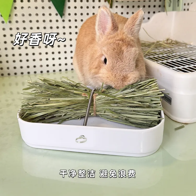 提摩西澳麦燕麦黑麦草混合 营养更全小宠吃不腻主食草捆 不漏草碗