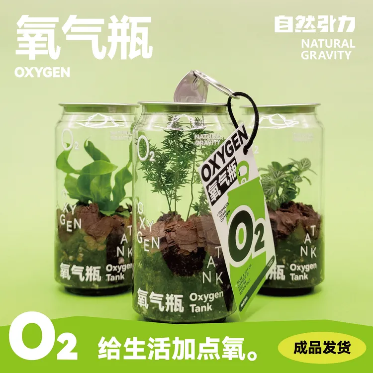 自然引力-氧气瓶 植物盆栽桌面绿植净化空气迷你盆栽礼物