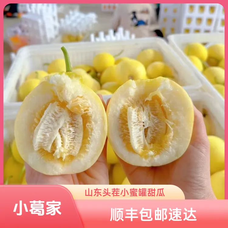 【顺丰包邮】小葛家山东头茬小蜜蜂甜瓜早甜脆小蜜罐香甜多汁甜瓜
