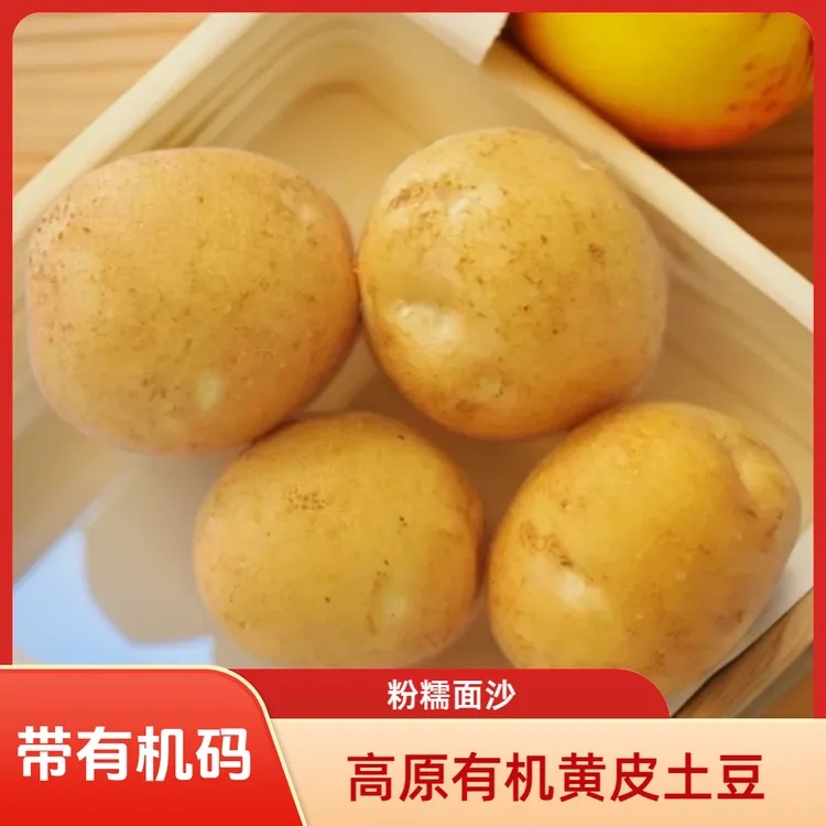 宁夏西吉高原白皮有机土豆中果5斤（李琬有机菜）有机蔬菜