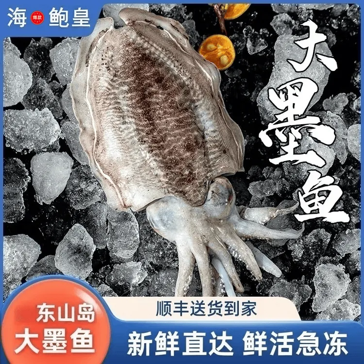 1-9斤冷冻大墨鱼超大海鲜水产鲜活急冻八爪鱼乌贼超大墨鱼鲜活商品图